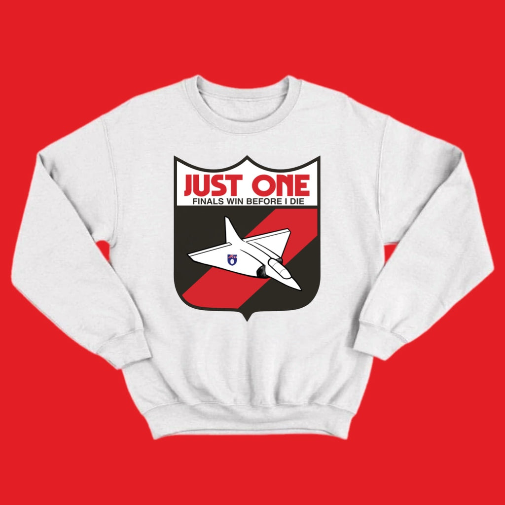 JUST ONE BLOODY FINALS WIN: BOMBERS - FRONT ONLY JUMPER